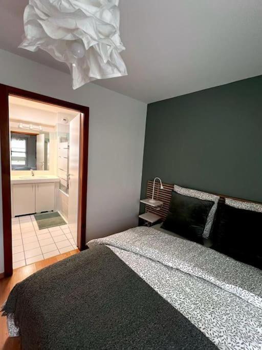 La Sinne Appartement 2 Pieces Avec Garage Mulhouse Exterior foto