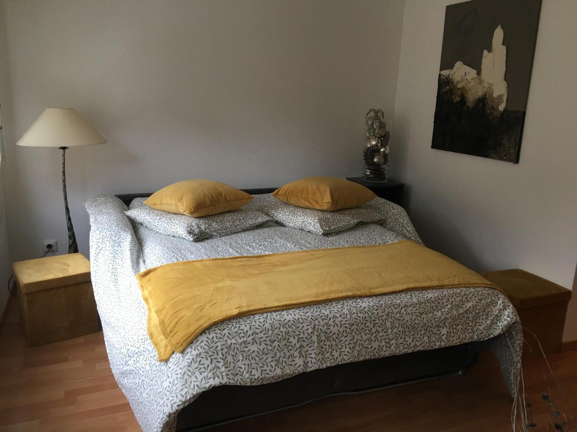 La Sinne Appartement 2 Pieces Avec Garage Mulhouse Exterior foto